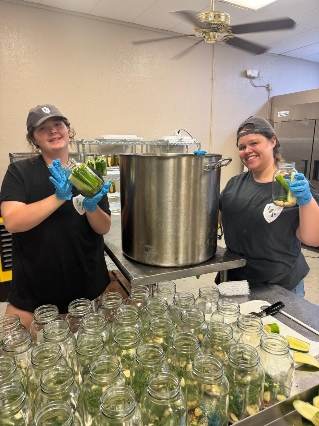 Freedom Pickles: True Grit, Bold Flavor, and the American Dream in a&nbsp;Jar